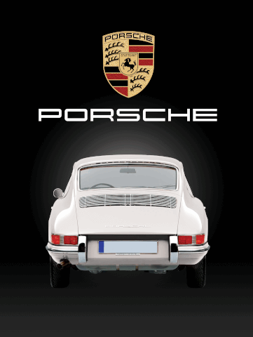 PORSCHE 911 EVOLUTION